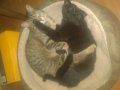 WP_20160315_001.jpg